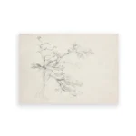 3pc10550