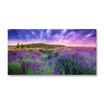 w1598-lavender-6