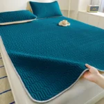 Soft Latex Mattress Cover Summer Mat Anti-baterial Non-Slip Bedspreads Air-conditioning Mattress Quilted Protector Bed Cover - Image 4