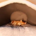 Dog Cave Shelter Detachable Large Dog Bed House Washable Cat House Nest Comfortable Winter Cat Bed Castle Dogs Cats Pet Supplies - Image 5