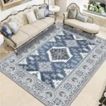 Modern Chinese Living Room Persian Carpet Simple Bedroom Decoration Area Rug Large Porch Door Mat Absorbent Non-slip Bath Mat - Image 5