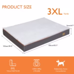 3xl
