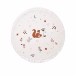 1pc-squirrel