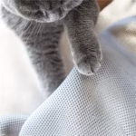Cat Bed Pet Hammock Bed Cat Sleeping Bed Breathable Cooling Cot Sofa Pet Hammock Bed - Image 6