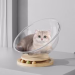 Transparent Capsule Cat Bed: Elegant All-Season Comfort - Image 3