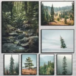 Natural Landscape Forest Photography Poster Print Canvas Pictures Home for Living Room Wall Modern Decor Frameless Painting