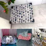 Portable Elevated Dog Bed Outdoor Pet Bed Summer Cat Bed Pet Camping Removable Washable Small Pet Hammock Outdoor Dog Bed - Image 2