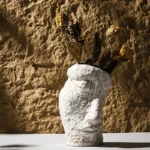 OasinHigh-end Creative Vase Abstract White Face Nordic Contemporary Art Ikebana for Fresh Flower Pampas Grass Home Decoration