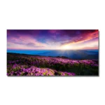 w1598-lavender-19
