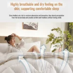 Thickened 95% White Goose Down quilt Comfortable and Breathable Duvet Ideal Gift for Students Winter cotton thick quilt core - Image 5