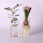 DIY Micro Landscape Clear Hyacinth Glass Vase Flower Planter Pot Bottle Terrarium Container Flower Vase for Home Office Decor - Image 3
