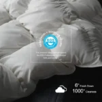 Premium Goose Down Comforter Cold-resistant Fluffy 100% Cotton Cover Winter Duvet Insert with Corner Tabe All Season Warmth - Image 3