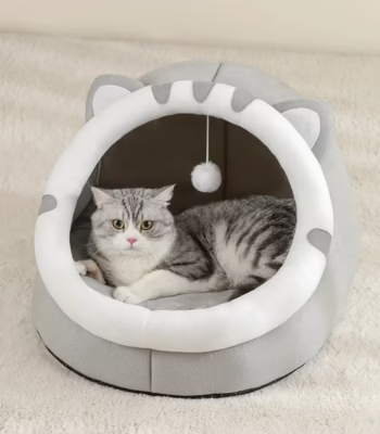 &bull; kf S64b585583f1b480b8a35ebb52a3abac9U &bull; Oasin