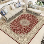 Modern Chinese Living Room Persian Carpet Simple Bedroom Decoration Area Rug Large Porch Door Mat Absorbent Non-slip Bath Mat - Image 3