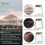 2/1 Pcs Hydroponic Plants Glass Flower Pots Home Decoration Transparent Small Vase Plant Pots With Base Tray Garden Accessories - Image 2