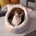 Winter Cute and Warm Cat/Dog House Foldable and Washable Puppy Cave Sofa Pet Bed House Suitable for Small and Medium Sized Dogs - Image 3