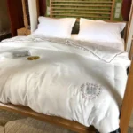 Formtheo Mulberry Silk Quilt Duvet Insert Luxury Warm Winter Duvet For Double Bed - Image 2