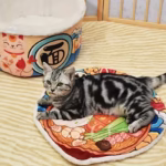 Pet Dog Cat House Kennel Super Large Instant Noodle Warm Dog Cat Nest Beds Cushion Cup Cozy Nest - Image 5