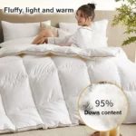 Thickened 95% White Goose Down quilt Comfortable and Breathable Duvet Ideal Gift for Students Winter cotton thick quilt core - Image 2