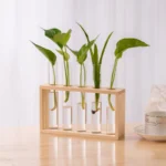 1 Set Creative Hydroponic Plants Container With Wood Frame Transparent Glass Test Tube Vase Bonsai Home Desktop Decor Crafts - Image 2