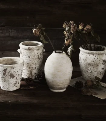 &bull; kf Sacc41ef2334445e1a1fd45a81a9be83bC &bull; Oasin