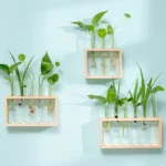 1 Set Creative Hydroponic Plants Container With Wood Frame Transparent Glass Test Tube Vase Bonsai Home Desktop Decor Crafts - Image 5