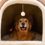 Dog Cave Shelter Detachable Large Dog Bed House Washable Cat House Nest Comfortable Winter Cat Bed Castle Dogs Cats Pet Supplies - Image 6