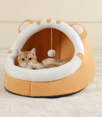 &bull; kf Sb6a0ea3455704cf394e7f461f8f1b183r &bull; Oasin