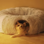 Winter Warm Cat House Round Foldable Pet Sleeping Bed Deep Sleeping Cat Tunnel Bed Cat Tube Long Plush for Cats and Small Dogs