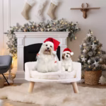 Luxury Cat Bed Soft Warm Plush Fabric Pet Nesting Chair Bed Stool Wood Legs with Cushion Pad Washable Waterproof for Small Pets - Image 2