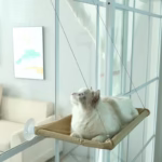 Sunny Cat Hammock Bed - Cozy Aerial Window Nest for Cats - Image 2