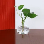 Avocado Seed Starter Vase Transparent Glass Vase Vase For Growing Plant Glass Seed Growing Kit For Gardening Lovers - Image 5