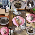 Cat Bed Pet Hammock Bed Cat Sleeping Bed Breathable Cooling Cot Sofa Pet Hammock Bed - Image 5