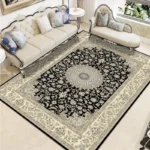 Modern Chinese Living Room Persian Carpet Simple Bedroom Decoration Area Rug Large Porch Door Mat Absorbent Non-slip Bath Mat - Image 6
