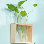 1 Set Creative Hydroponic Plants Container With Wood Frame Transparent Glass Test Tube Vase Bonsai Home Desktop Decor Crafts - Image 4