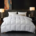 95% Goose Down Duck Duvet Quilted Warm Comfortable Cotton Quilt King Queen Full Size Hotel Duvet Comforter Winter Throw Blanket - Image 5