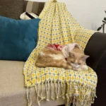 Nordic Sofa Blanket Knitted Shawl Blanket Autumn Winter Home Decor Office Nap Bedspread Warm Bed Tail Cover Soft Nap Blanket