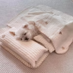 3Pcs /Set Dog Bed Set with Pillow Mattress Comforter Removable Washable Cat Nest Soft Comfortable Pet Supplies Dog Accessories - Image 3