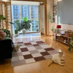French Style Carpets for Living Room Fluffy Soft Bedroom Decor Vintage Carpet Home Cloakroom Plush Floor Mat Non-slip Lounge Rug - Image 4