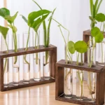 1 Set Creative Hydroponic Plants Container With Wood Frame Transparent Glass Test Tube Vase Bonsai Home Desktop Decor Crafts - Image 3