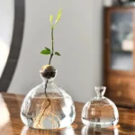 Avocado Seed Starter Vase Transparent Glass Vase Vase For Growing Plant Glass Seed Growing Kit For Gardening Lovers - Image 2