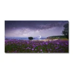 w1598-lavender-24