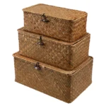 Rattan Woven Storage Box Clothing Toys Holder Handmade Jewelry Boxes Straw Wicker Basket with Lid Home Sundries Makeup Organizer