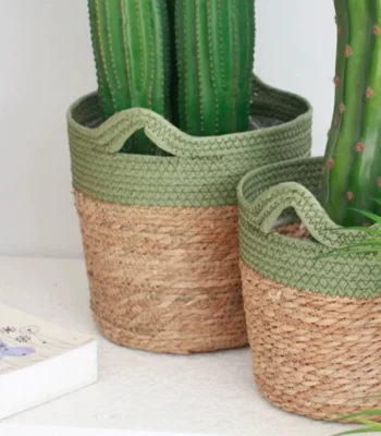 &bull; kf S0272b6f646b641dbb6c87c73b8fb863fX &bull; Oasin