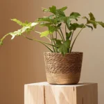 Straw Weaving Flower Plant Pot Wicker Basket Rattan Flowerpot Storage Basket Garden Flowerpot Handmade Woven Planter Basket - Image 3