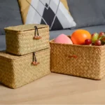 +Handwoven Seagrass Shelf Basket with Lid, Rectangular Desktop Organizer for Makeup & Sundries - Image 3