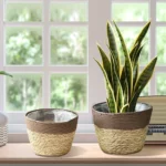 Home Decor Round Handmade Straw Plant Pot Flower Pot Storage Flower Basket - Image 6