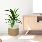 Cotton Rope Plant Basket Large Capacity Hand-Woven Flower Pot Holder Indoor Planter Storage Basket For Store Plants Toys Clothes - Image 6