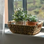 Charming Hand-Woven Wicker Basket with Wooden Handle - Water Hyacinth Storage for Bathroom, Home Organization & Decor - Image 2