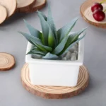 Natural Round Wood Coasters Cup Pad Tea Coffee Mug Mat Drinks Holder Table Mat Wooden Coasters DIY Crafts Home Kitchen Decor - Image 4